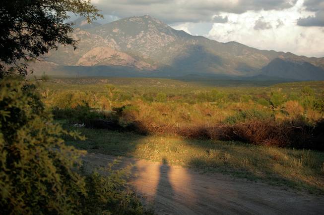 Here is my self-portrait at "golden hour" with the Santa Rita Mountains. Golden hour =
the hour before sunset and the hour after sunrise, when the light is the most beautiful and directional. I was waiting for nightfall with a group of Minuteman Civil Defense Corps, looking for illegal immigrants on a ranch
near Amado, Ariz. -- Leila Navidi