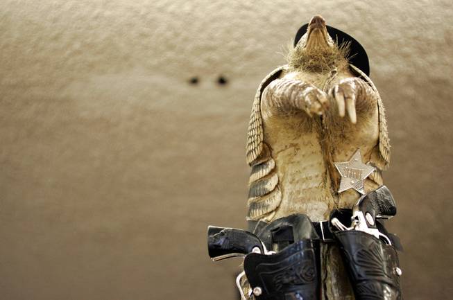 This is Sheriff Armadillo (I made up that name, by the way). He's on display at a travel center off Interstate 10 on a lonely stretch between Tucson, Ariz., and Las Cruces, N.M. "That's a good idea," an elderly lady commented when she saw me taking photos of the little guy. I wonder now if this sheriff was for sale. How much would I pay for him? -- Leila Navidi