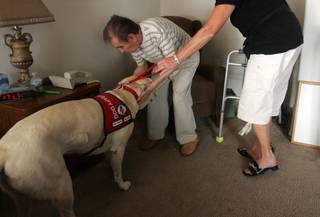 John Padilla gives Lucie, a pet therapy dog, a goodbye hug as she goes on to visit other residents at The Cottages of Green Valley Oct. 8. Bonnie Bonanno, Lucie's owner, takes her to visit the assisted-living facility once a week.  
