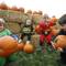 Photo: From left, Leo Forrest, 4, and sister, Annlee, 1, 
