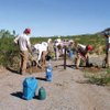 Photo: Bureau of Land Management workers restore plants t Photo: Bureau of Land Management workers restore plants t