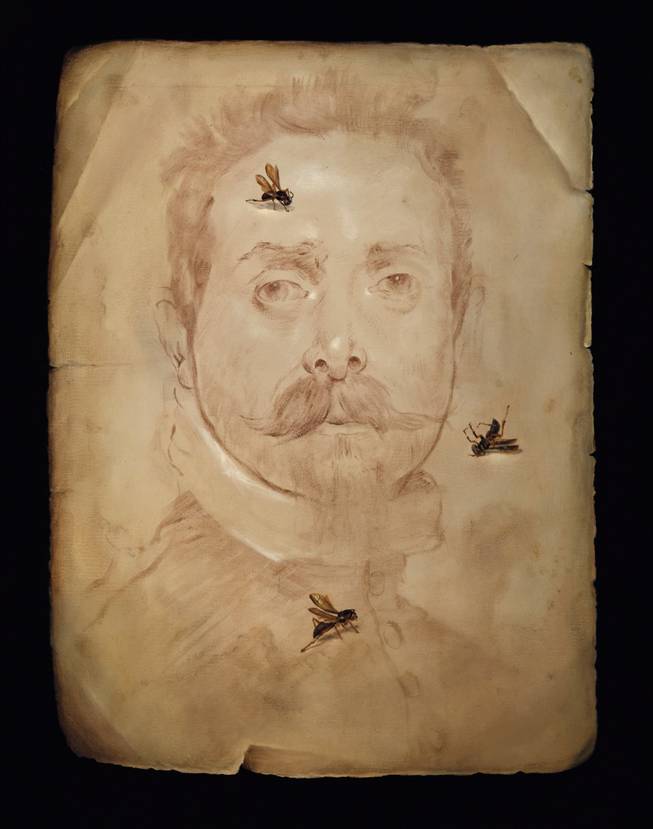 "Wasp Drawing," Derrick Guild, 2008