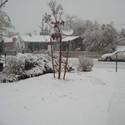 Snow in Henderson