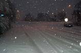 Snow pelts the suburbs