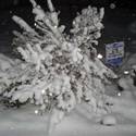 Snow in Henderson