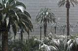 DEC. 17, 2008 SNOWFALL IN LAS VEGAS
