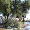On Thursday, broken tree branch rests at the intersection of West Warm Springs Road and Green Valley Parkway in Henderson. The branch buckled under the weight of the snow. A rare snowstorm blanketed the Las Vegas Valley on Wednesday, delaying flights, causing widespread fender-benders and canceling school. More than 6 inches of snow fell in parts of the valley, forecasters said. On Thursday, broken tree branch rests at the intersection of West Warm Springs Road and Green Valley Parkway in Henderson. The branch buckled under the weight of the snow. A rare snowstorm blanketed the Las Vegas Valley on Wednesday, delaying flights, causing widespread fender-benders and canceling school. More than 6 inches of snow fell in parts of the valley, forecasters said.