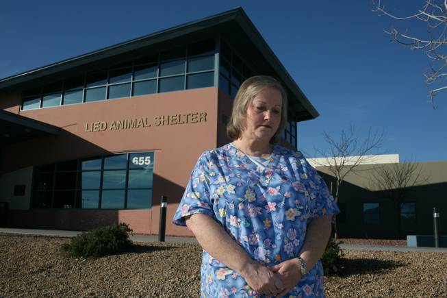 The shelter is investigating the case of Barbara Marques, whose cat was put down this week mere minutes after the 72-hour window expired and after Marques had promised to return with the proof needed to retrieve the animal. 