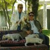 Siegfried and Roy pose for cameras with a litter of tiger cubs. Siegfried and Roy pose for cameras with a litter of tiger cubs.