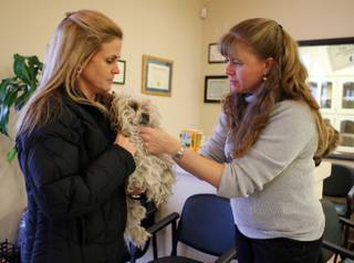 Local resident Lisa Boshart shows a stray dog to veterinarian Dr. Susan Keeney at the Siena Animal Hospital on Friday, Feb. 13, 2009. Veterinarian Susan Keeney says that dogs and cats are frequently abandoned at the clinic. 
