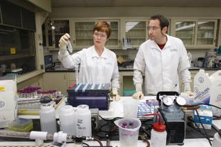 Julie Gostic and her husband Rich, radiochemistry graduate students, demonstrate how they dissolve and separate radioactive material in the 