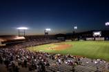 Firework Night at Cashman