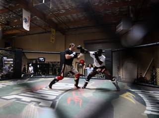 Xtreme Couture Gym