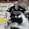 Photo: Former Fresno Falcons goaltender Michael Ouzas squ Photo: Former Fresno Falcons goaltender Michael Ouzas squ