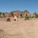 Bootleg Canyon