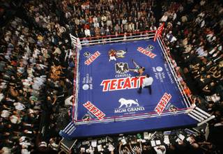 Referee Tony Weeks watches Floyd Mayweather Jr., upper left, knock down Juan Manuel Marquez, of Mexico, during their non-title welterweight boxing match in Las Vegas, Saturday, Sept. 19, 2009. Mayweather won by a unanimous decision.