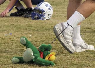 Basic High assistant football coach Dan Cahill walks around the practice field Monday with a stuff animal gator leashed to his ankle. Cahill brings out the toy each year during practices leading up to Henderson Bowl.


