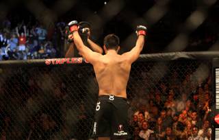 Lyoto Machida celebrates Saturday night after the main event of UFC 104 at Staples Center in Los Angeles. Machida won a controversial unanimous decision for the UFC light heavyweight title.