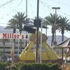 Photo: It was a windy day at Stu Miller's pumpkin patch o Photo: It was a windy day at Stu Miller's pumpkin patch o