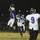 Basic vs. Desert Pines