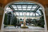 Bellagio's Fall Display Setup (Nov. 24)