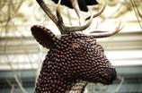 Holiday Display at Bellagio (Dec. 11)