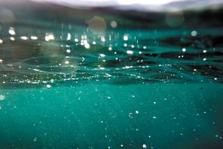 WATER EVERYWHERE: Entering the magical wilderness of the ocean, below the surface of the Pacific, off the east coast of Oahu, Hawaii, in April.