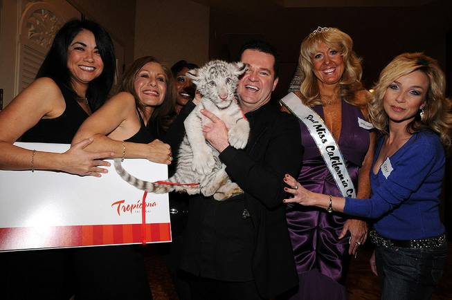 Dirk Arthur and his 2-month-old white tiger cub Saber are flanked by ladies at the Cougar Convention in the Tropicana on Jan. 22, 2010.