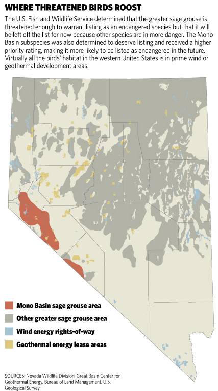 Sage grouse habitat threatened by deveolopment, in Nevada - Las Vega Sun graphic