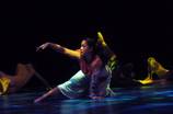 2010 Choreographers' Showcase
