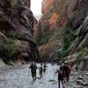 Photo: In this Sept. 5, 2009 file photo, hikers wade thro Photo: In this Sept. 5, 2009 file photo, hikers wade thro