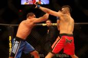 UFC_TUF 11 McGee-McCray