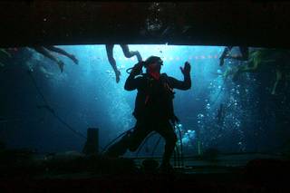 Diver Thomas Fetzner waits to catch a performer who will plunge into the water during a performance of Le Reve Tuesday, August 10, 2010.
