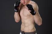 The Ultimate Fighter 12