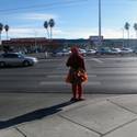 Turkey crossing the road