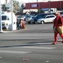 Turkey crossing the road
