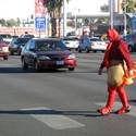 Turkey crossing the road