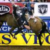 Bareback rider Clint Cannon hangs on to Joy Ride during the last night of the National Finals Rodeo on Saturday, Dec. 11, 2010, at the Thomas & Mack Center.