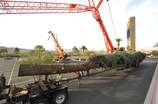 America's Tallest Christmas Tree