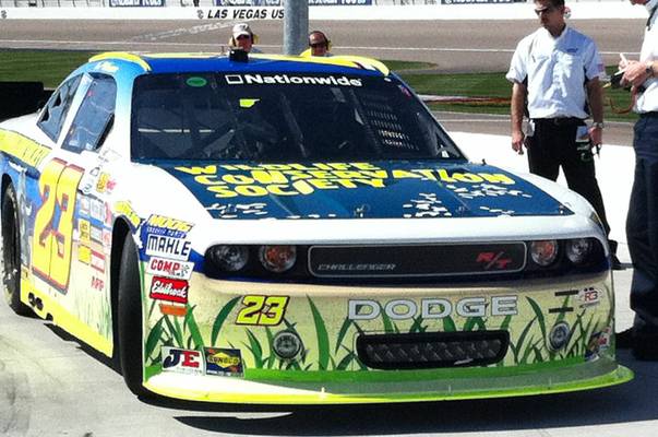 Click to enlarge photo