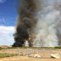 Brush fire