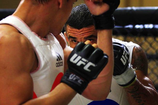 UFC 142 Where to Watch guide