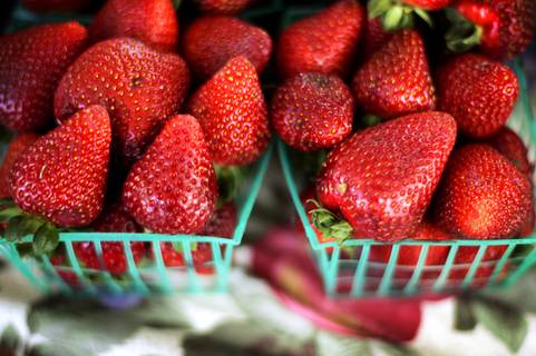 Las Vegas Farmers Market