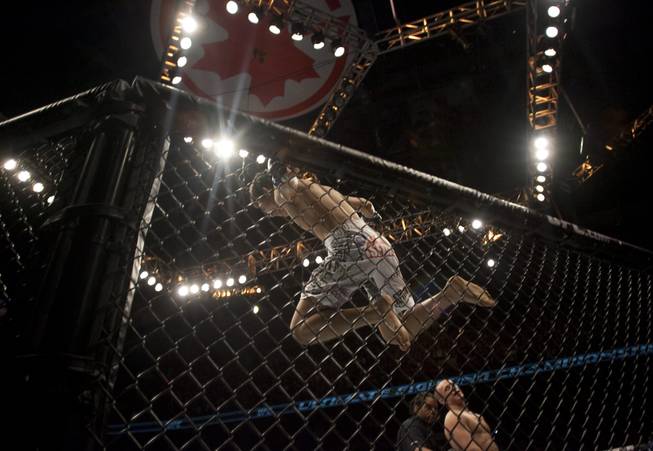ufc 140 jung ufc 140 jung