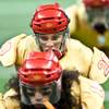 Photo: Las Vegas Sin vs. Green Bay Chill on Saturday, Jan Photo: Las Vegas Sin vs. Green Bay Chill on Saturday, Jan
