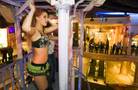 Fat Tuesday With Special Parade in the Sky at Rio