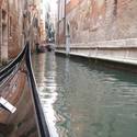 Venice-Kats Report