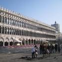 Venice-Kats Report