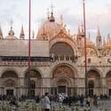 Venice-Kats Report