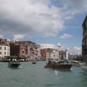 Venice-Kats Report